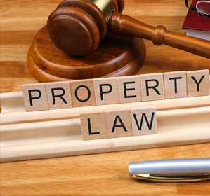 Property & Business Law